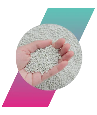 PET Chips Manufacturer